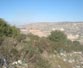 Polemi land for sale cyprus