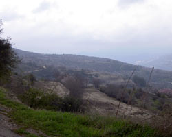 land for sale Salamiou