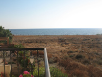 kato paphos apartment with communal pool