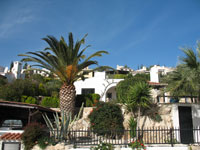 Tala villa for rent