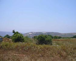 custom design villa in Innia paphos