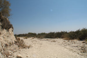 cyprus land for sale mesoyi