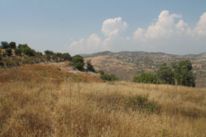 land for sale trachypedoula