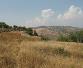 Trachypedoula land for sale cyprus